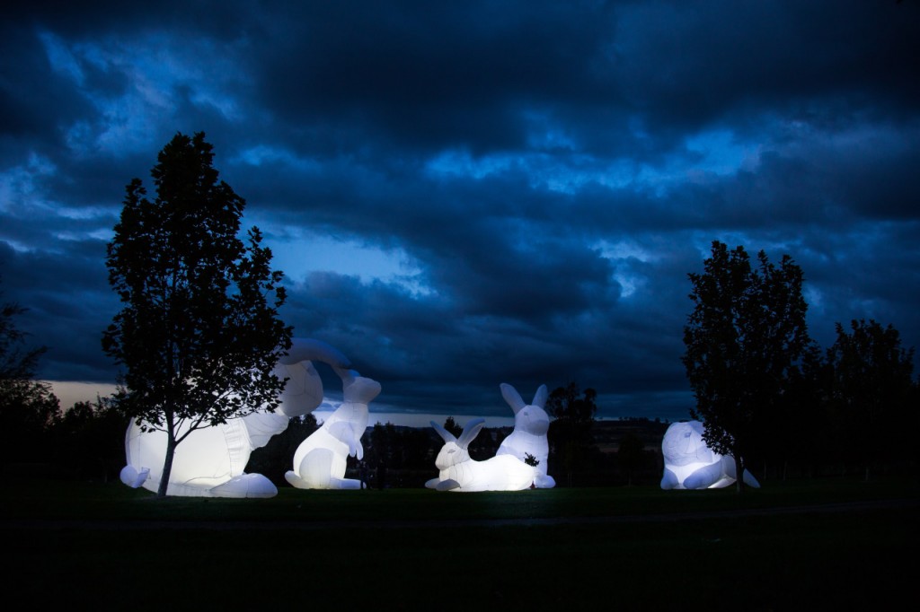 Amanda Parer Intrude