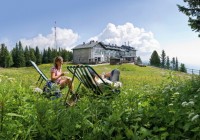 Pešia turistika po Dolnom Rakúsku: Unikátne miesta, divoká letná príroda a pohodlné horské chaty.