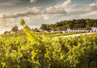 V Dolnom Rakúsku už po 20-krát začína obľúbené piate ročné obdobie „Vinárska jeseň“.