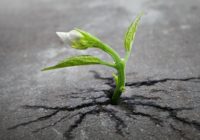 Škody po výtlkoch vďaka miernej zime poklesli.