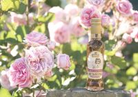 Odhaľte tajomstvo ružovej medoviny