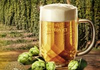 Privítajme jeseň s kráľovským špeciálom