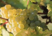 Počas jesenných dní vás zahreje hravá „18“-tka z JM