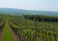 Klub Doľany – keď sa snúbi kvalita s primeranou cenou