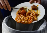 Neplytvajte v lete jedlom – 3 tipy AKO NA TO