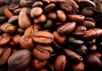 Blíži sa sezóna festivalov. Čo budete piť?