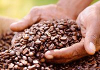 Polovica fairtradového príspevku zo Slovenska pochádza z Lidl