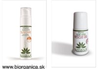 Aloe vera: nezabudnite si ju pribaliť na letnú dovolenku!